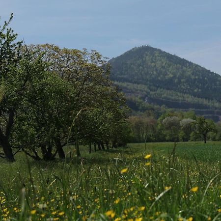 Gite Le 1602 Βίλα Saint-Nabor Εξωτερικό φωτογραφία