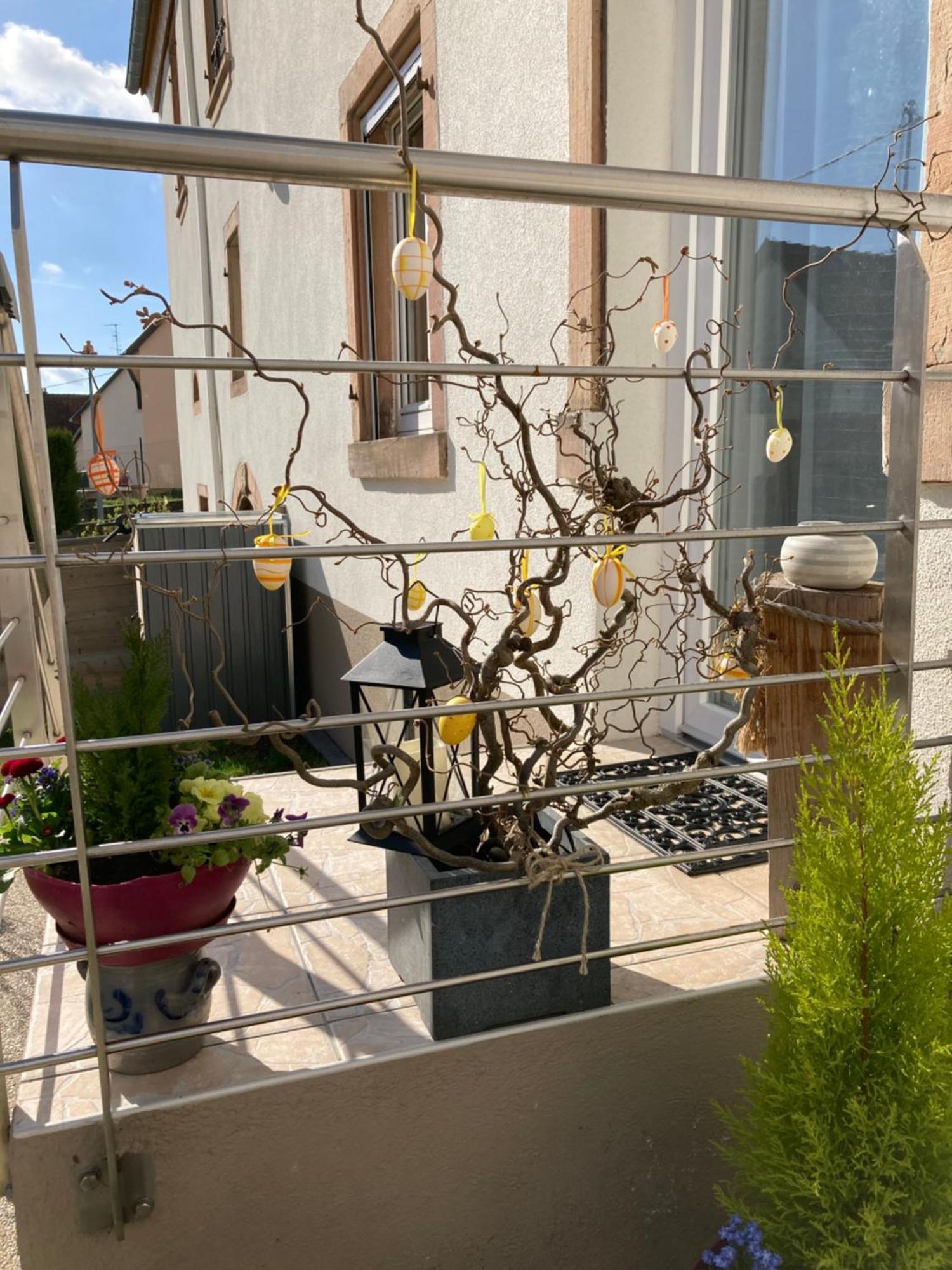 Gite Le 1602 Saint-Nabor Εξωτερικό φωτογραφία