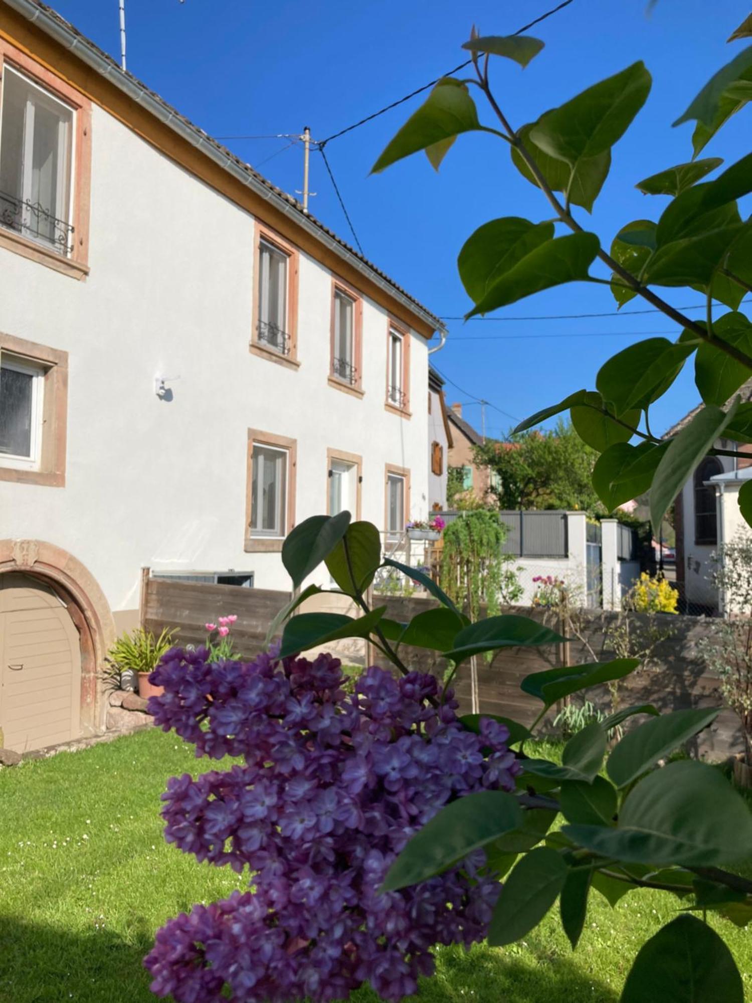 Gite Le 1602 Saint-Nabor Εξωτερικό φωτογραφία
